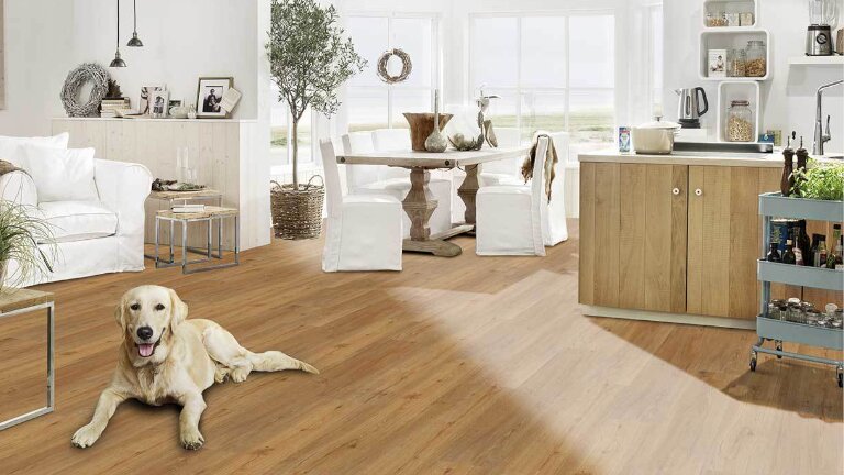 Strong SPC Multilayer+ Planken, Wohnzimmer, Hund